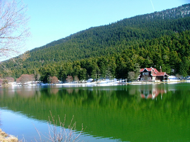 bolu3