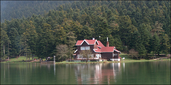 bolu4
