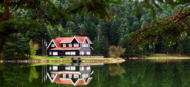 bolu5