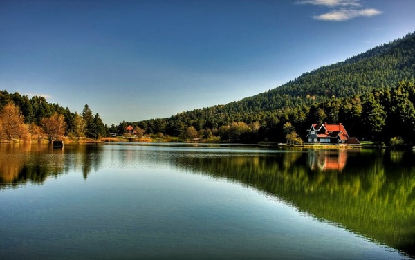 bolu6